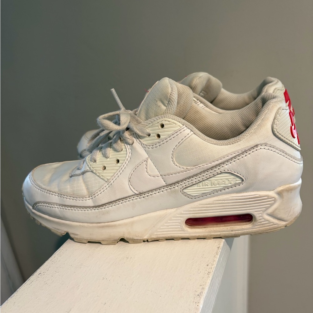 Nike Air Max Sneakers
